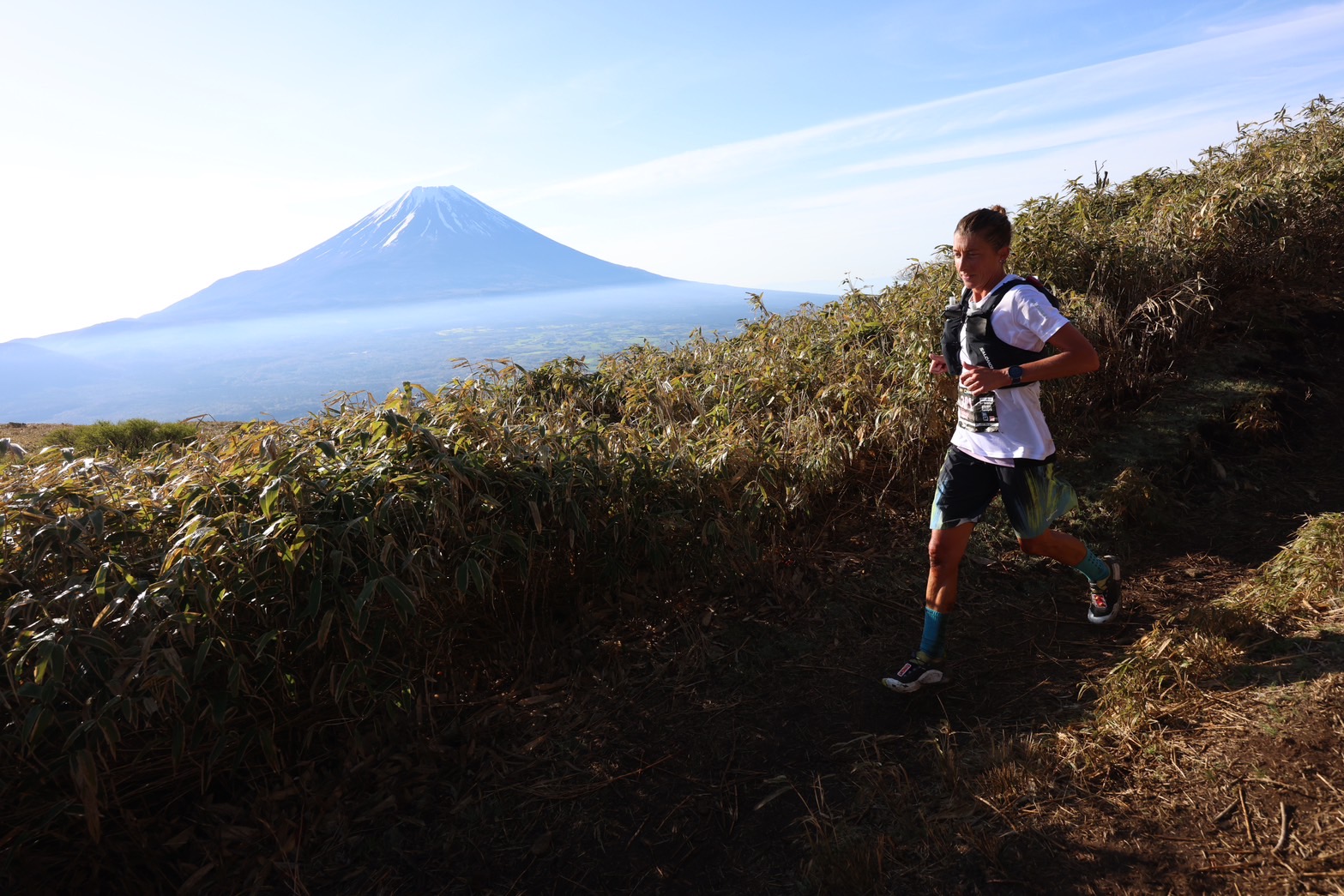 マウントフジ100 Mt. FUJI 100 2024 リザルト | DogsorCaravan